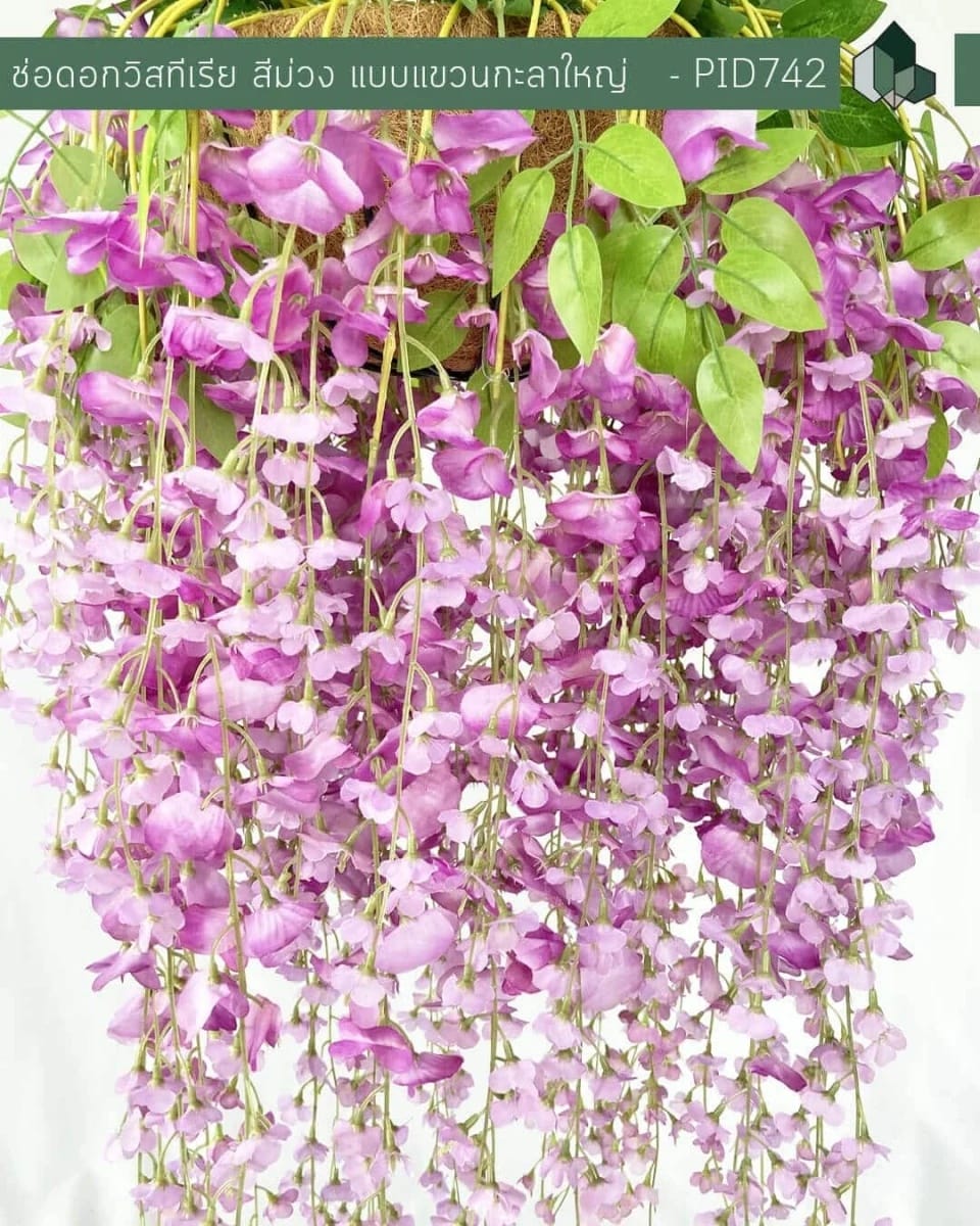 ไม้เลื้อยวิสทีเรียปลอม PIMARN รุ่น PID742 ,สีม่วง,พร้อมกระถางใยมะพร้าว_2